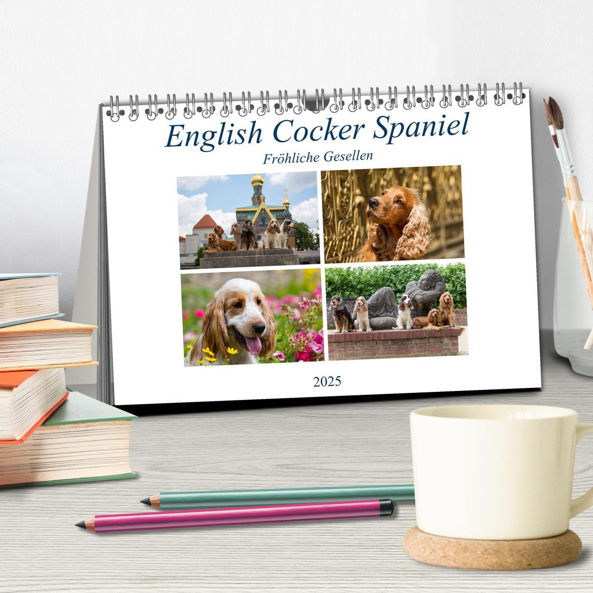 Bild: 9783435447312 | English Cocker Spaniel - Fröhliche Gesellen (Tischkalender 2025 DIN...