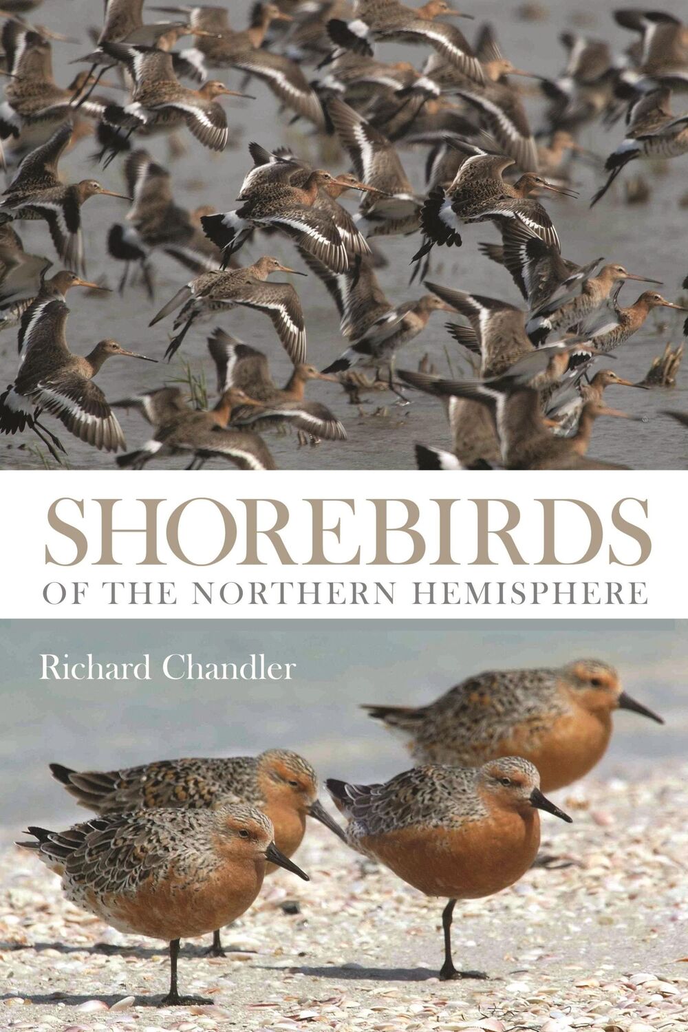 Cover: 9781408107904 | Shorebirds of the Northern Hemisphere | Richard Chandler | Taschenbuch