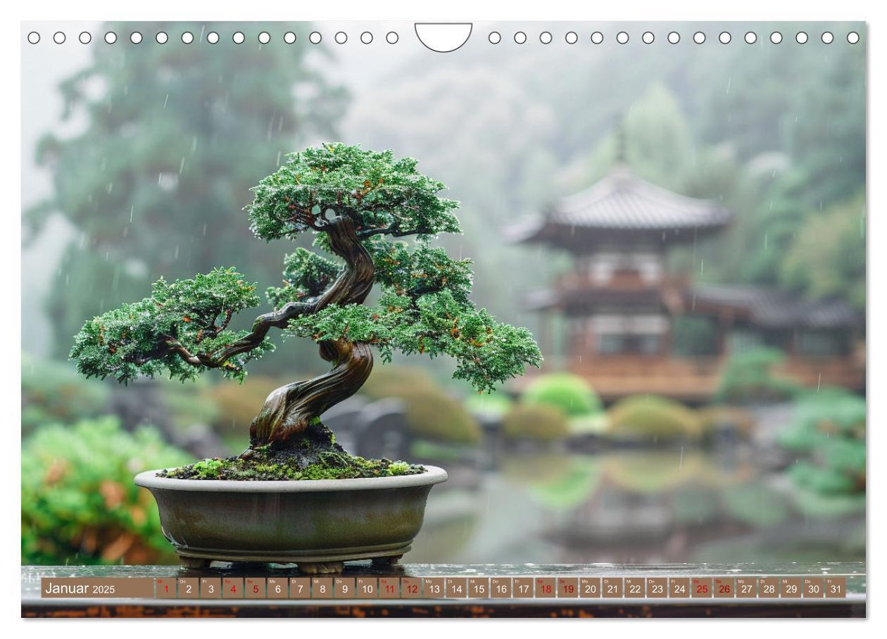 Bild: 9783383822230 | Bonsai meditativ (Wandkalender 2025 DIN A4 quer), CALVENDO...