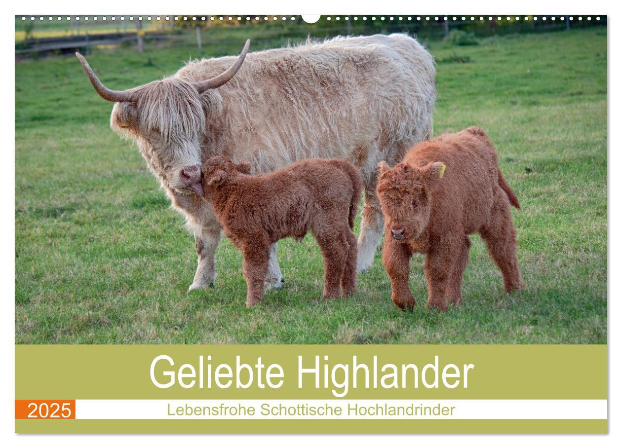 Cover: 9783435100651 | Geliebte Highlander (Wandkalender 2025 DIN A2 quer), CALVENDO...