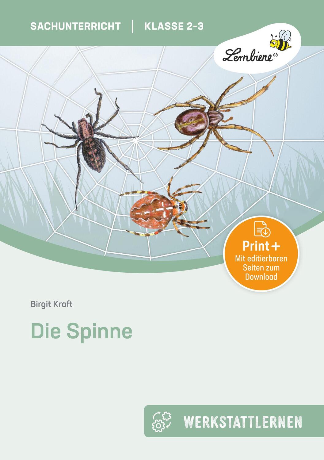 Cover: 9783746805757 | Die Spinne | (2. und 3. Klasse) | Birgit Kraft | Stück | 53 S. | 2022