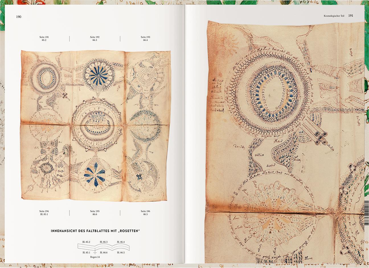 Bild: 9783968494098 | Das Voynich-Manuskript. The Voynich Manuscript. The Complete Edition