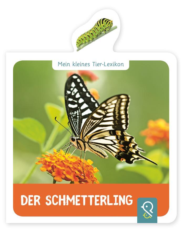 Cover: 9783946360285 | Mein kleines Tier-Lexikon - Der Schmetterling | Hannah Kastenhuber