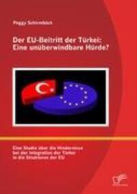 Cover: 9783842879348 | Der EU-Beitritt der Türkei: Eine unüberwindbare Hürde? | Schirmböck
