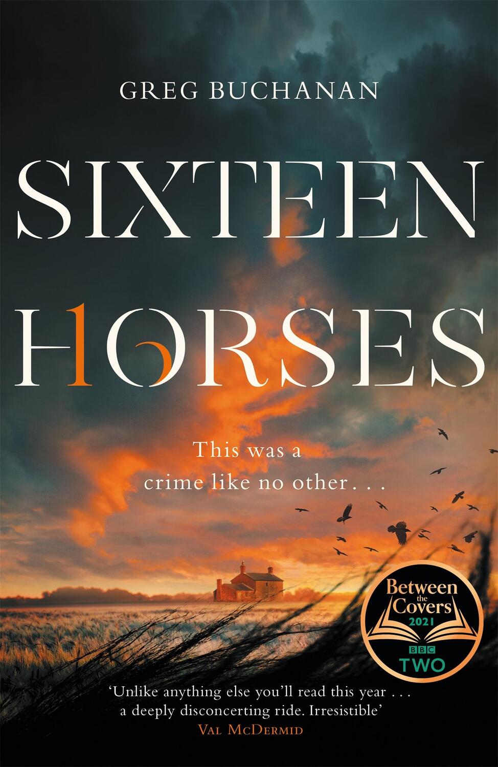 Cover: 9781529027167 | Sixteen Horses | Greg Buchanan | Buch | Englisch | 2021