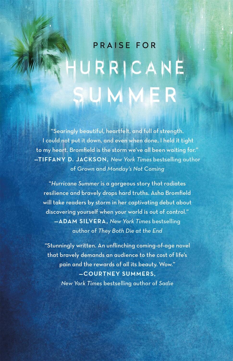 Rückseite: 9781250622235 | Hurricane Summer | Asha Ashanti Bromfield | Buch | Englisch | 2021
