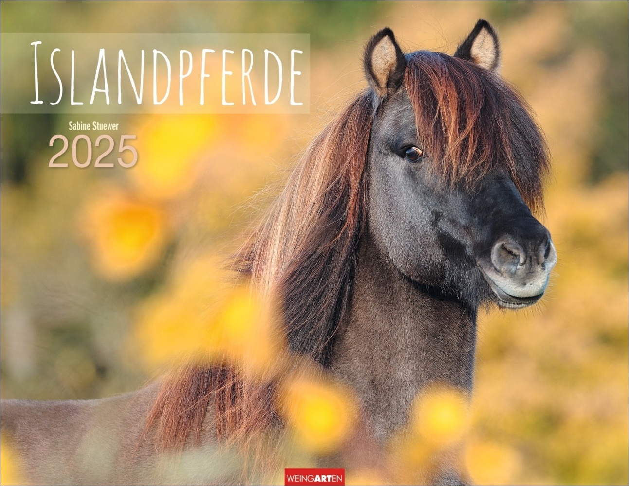 Cover: 9783839900406 | Islandpferde Kalender 2025 | Sabine Stuewer | Kalender | Spiralbindung