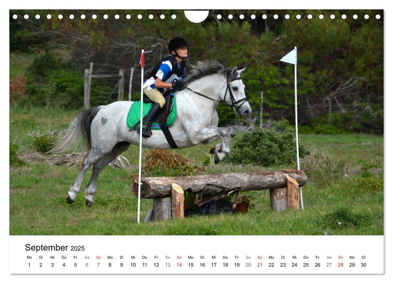 Bild: 9783435618507 | Vielseitigkeitsreiten (Wandkalender 2025 DIN A4 quer), CALVENDO...