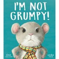 Cover: 9781788811057 | I'm Not Grumpy! | Steve Smallman | Taschenbuch | Englisch | 2020