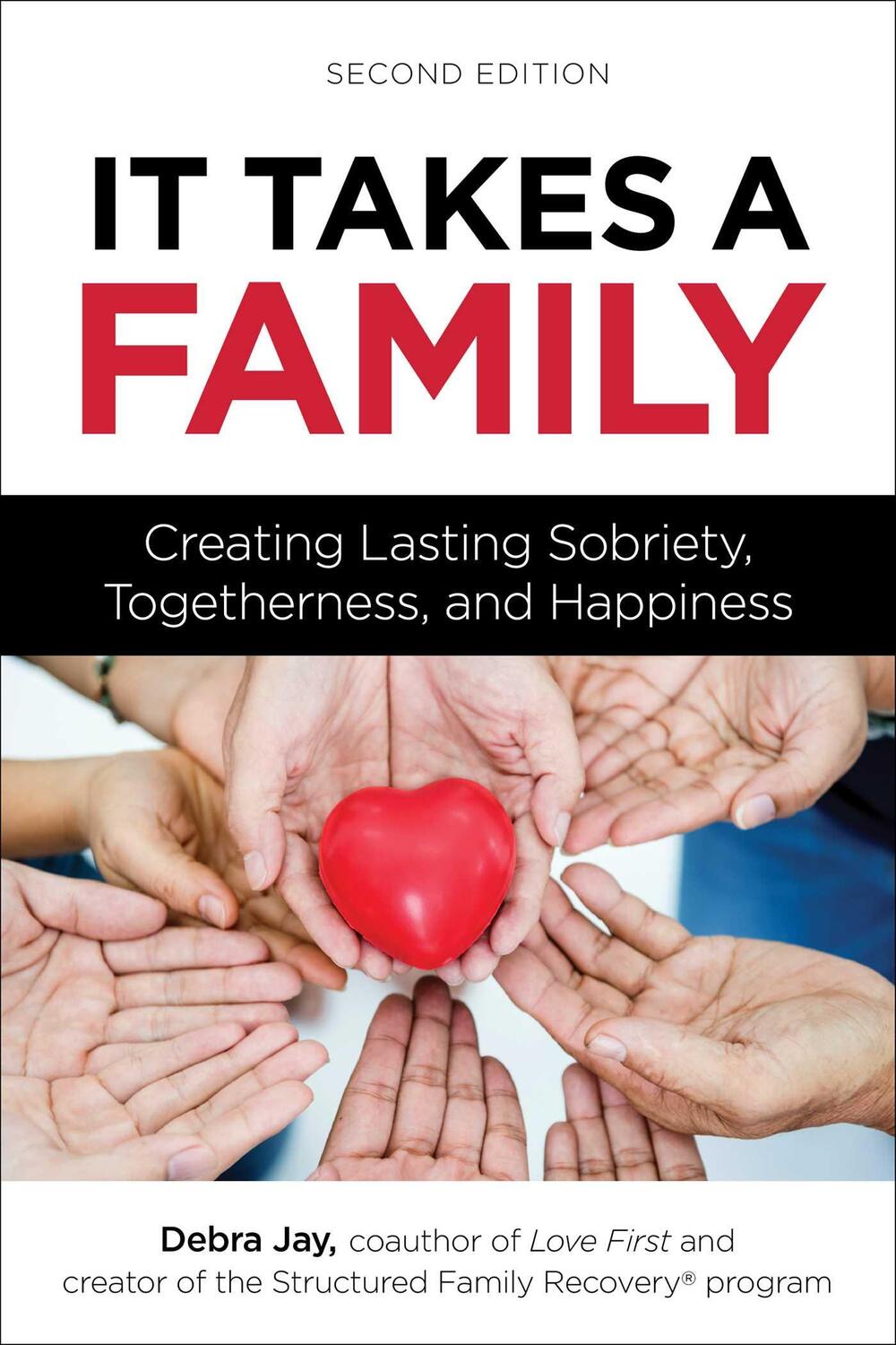 Cover: 9781616499129 | It Takes A Family | Debra Jay | Taschenbuch | Kartoniert / Broschiert