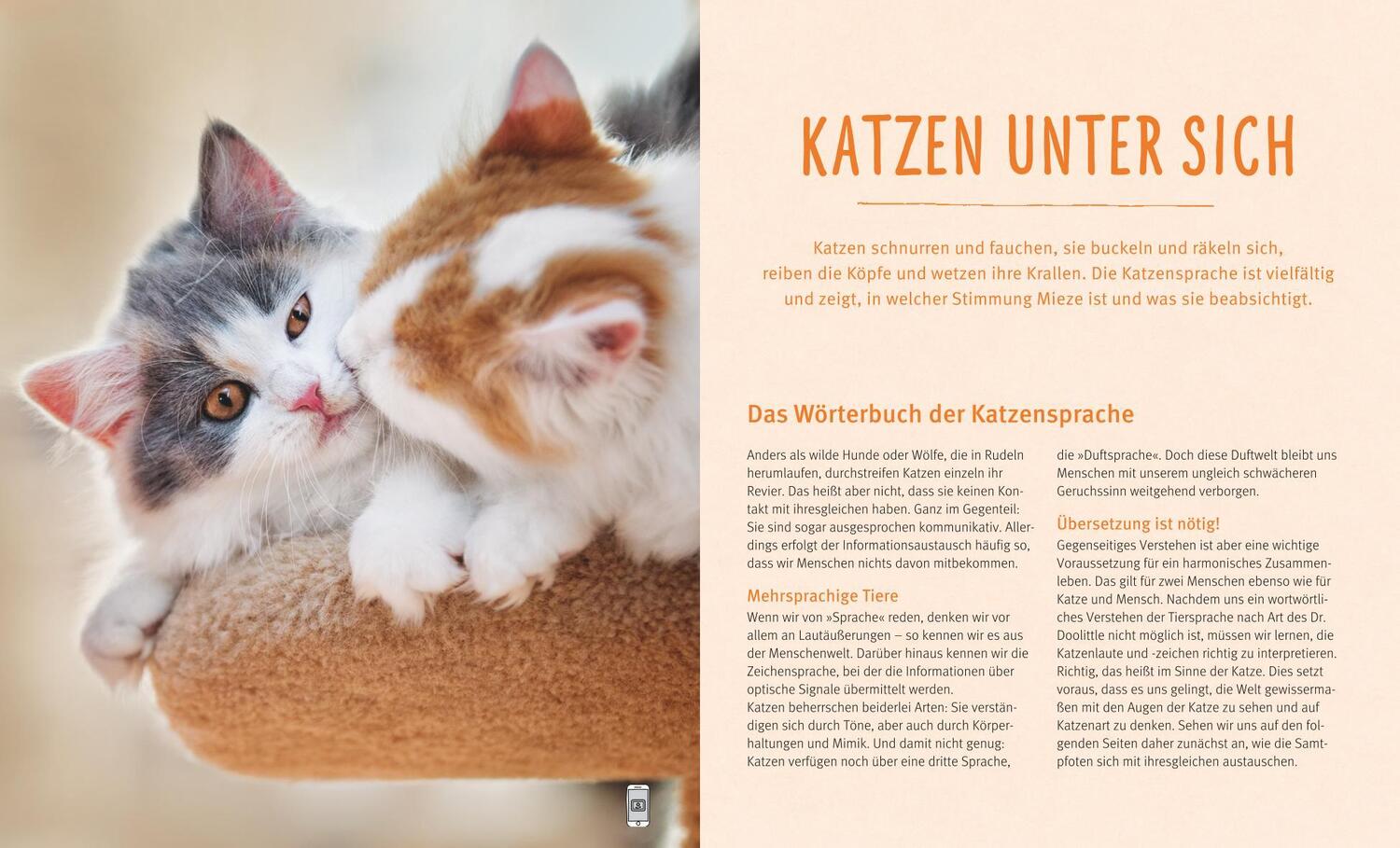 Bild: 9783833836350 | Katzensprache | Kätzisch für Zweibeiner | Helga Hofmann | Taschenbuch