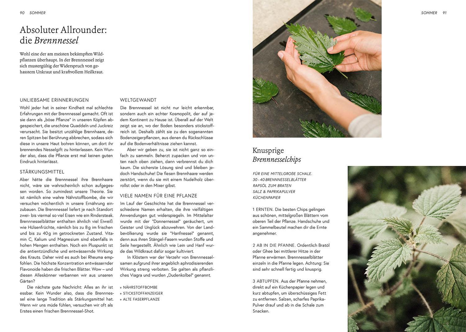 Bild: 9783440180099 | Kruut - Wildpflanzen im Alltag | Annika Krause (u. a.) | Buch | 192 S.
