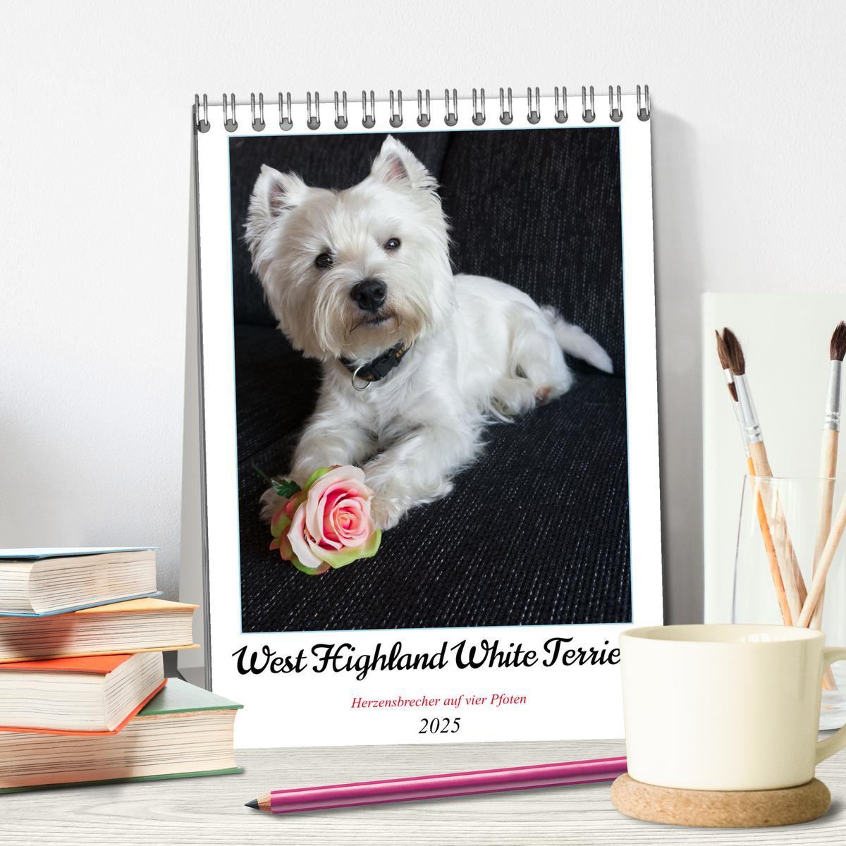 Bild: 9783435882779 | West Highland White Terrier - Herzensbrecher auf vier Pfoten...