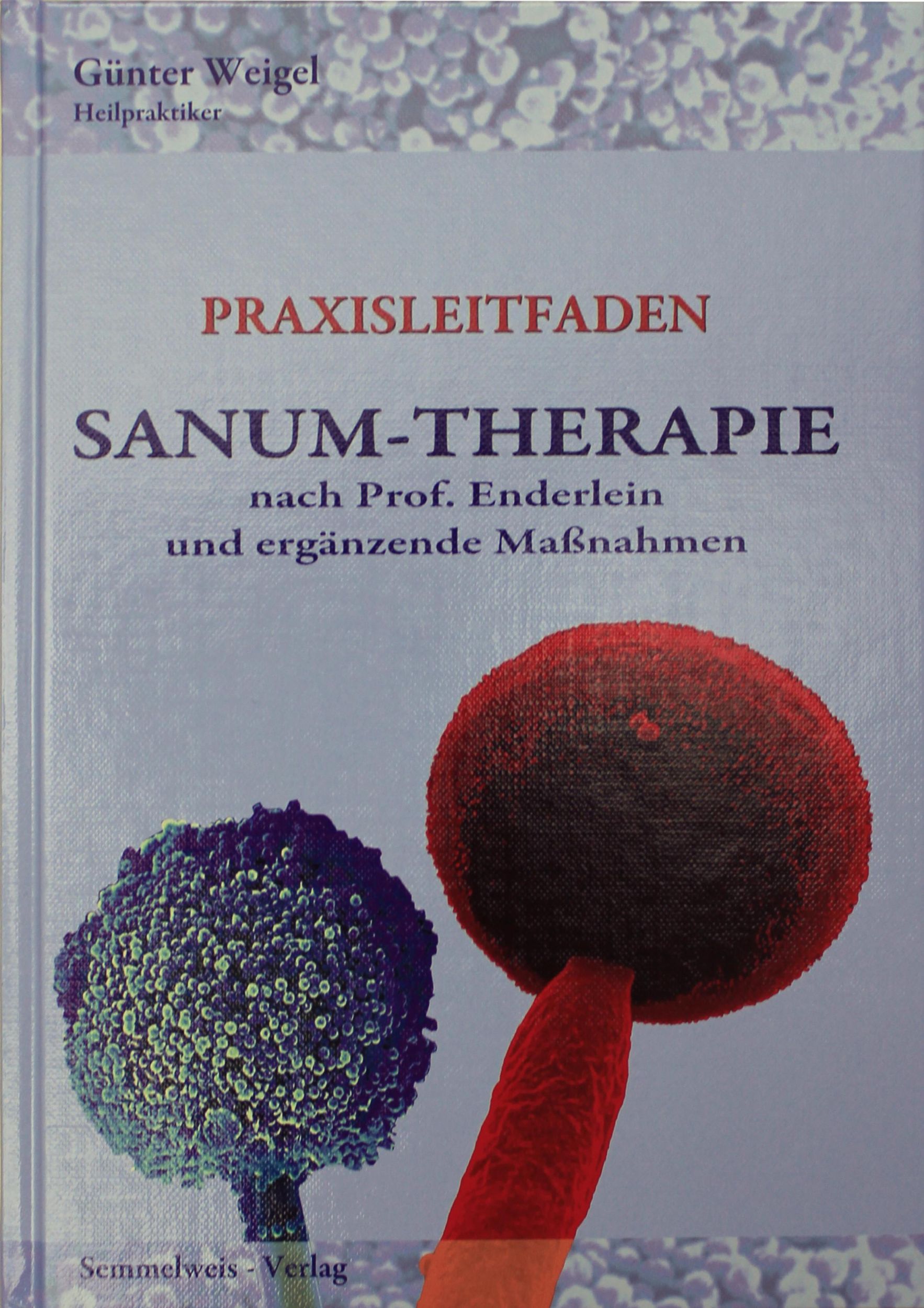 Cover: 9783925524110 | SANUM-Therapie nach Prof. Enderlein und ergänzende Maßnahmen -...