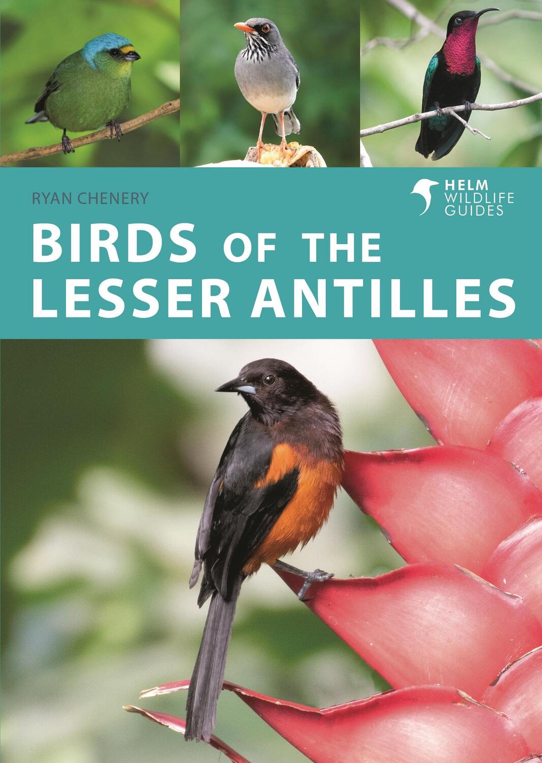 Autor: 9781472989611 | Birds of the Lesser Antilles | Ryan Chenery | Taschenbuch | Englisch
