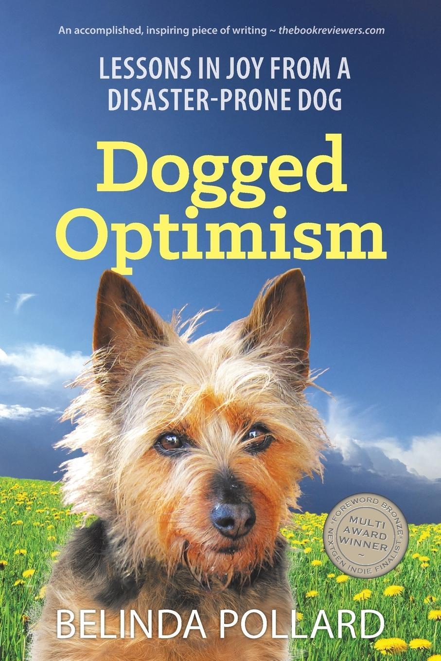 Cover: 9780994209832 | Dogged Optimism | Lessons in Joy from a Disaster-Prone Dog | Pollard