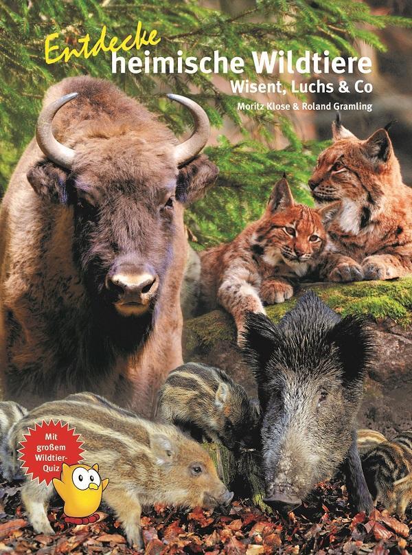 Cover: 9783866594852 | Entdecke heimische Wildtiere | Wiesent, Luchs &amp; Co | Klose (u. a.)