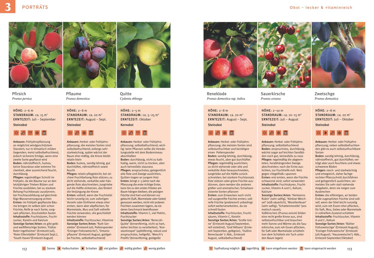 Bild: 9783833894190 | Obst &amp; Gemüse selbst anbauen | Renate Hudak | Buch | 128 S. | Deutsch