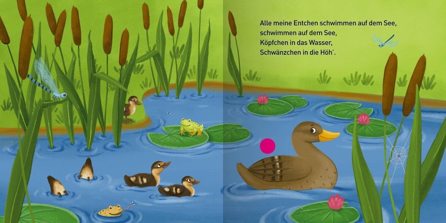 Bild: 9783741526657 | Mein kleines Soundbuch - Kinderlieder | Buch | 12 S. | Deutsch | 2023