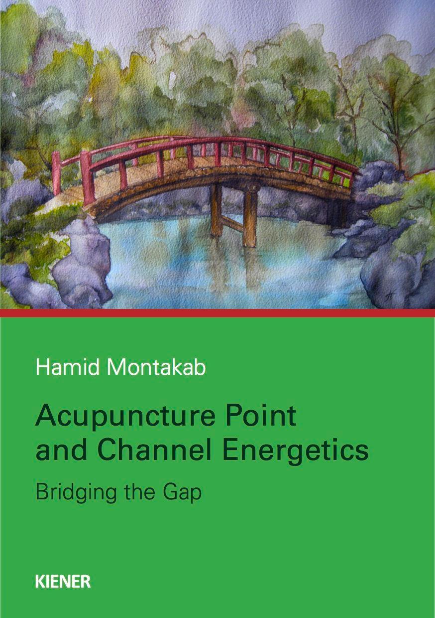 Cover: 9783943324143 | Acupuncture Point and Channel Energetics | Bridging the Gap | Montakab