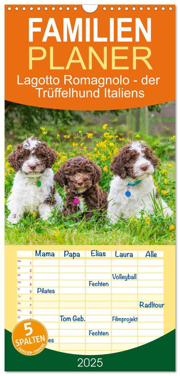 Cover: 9783457091647 | Familienplaner 2025 - Lagotto Romagnolo - der Trüffelhund Italiens...