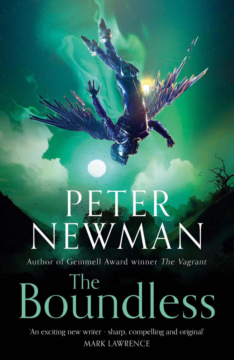 Cover: 9780008229115 | The Boundless | The Deathless Trilogy 3 | Peter Newman | Taschenbuch