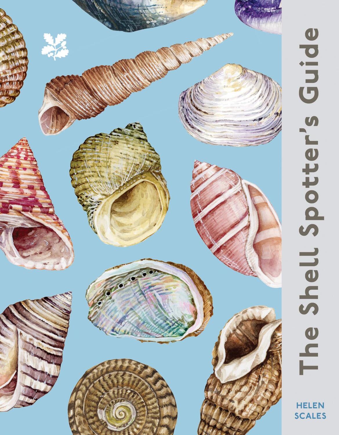 Cover: 9780008641313 | The Shell Spotter's Guide | Helen Scales | Buch | 2024