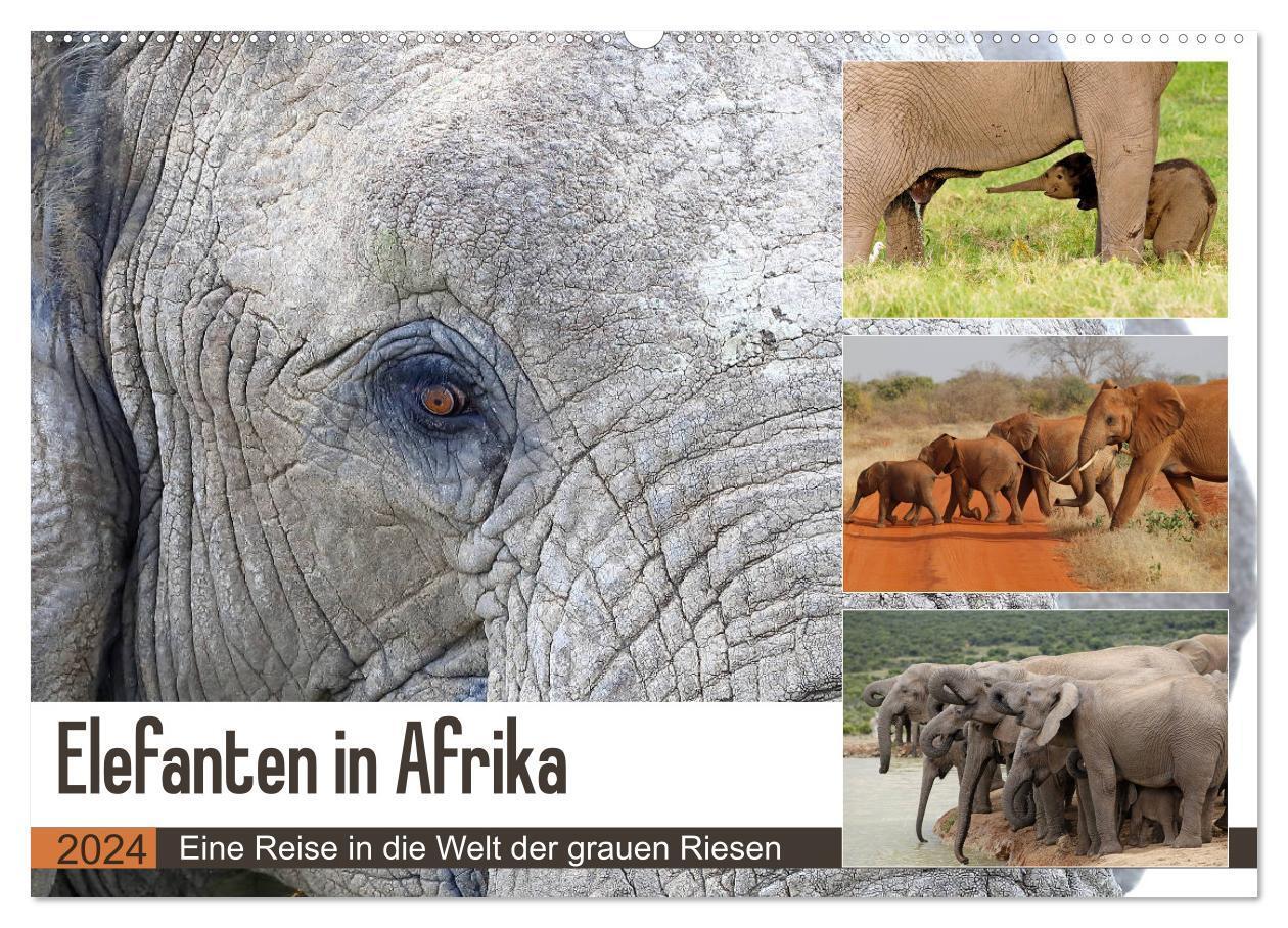 Cover: 9783383477706 | Elefanten in Afrika (Wandkalender 2024 DIN A2 quer), CALVENDO...