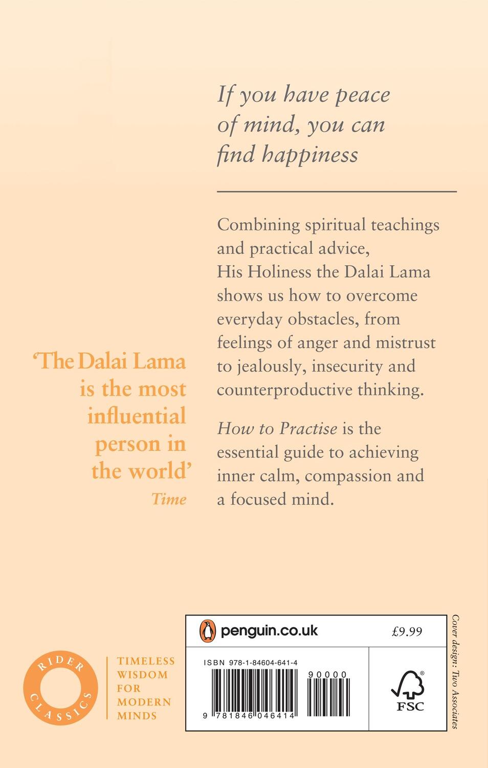 Rückseite: 9781846046414 | How To Practise | The Way to a Meaningful Life | Dalai Lama | Buch
