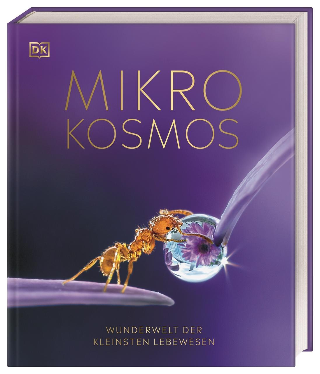 Cover: 9783831044566 | Mikrokosmos - Wunderwelt der kleinsten Lebewesen | Harvey (u. a.)