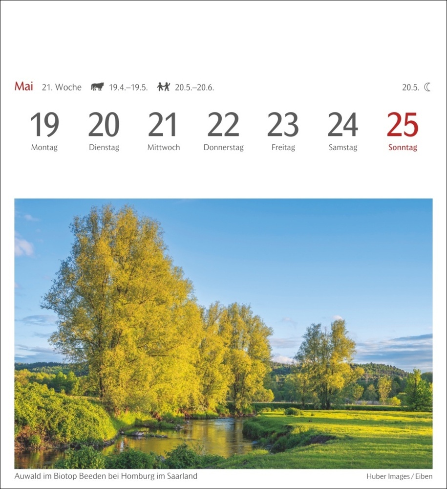 Bild: 9783840033483 | Bäume Postkartenkalender 2025 - Wochenkalender mit 53 Postkarten