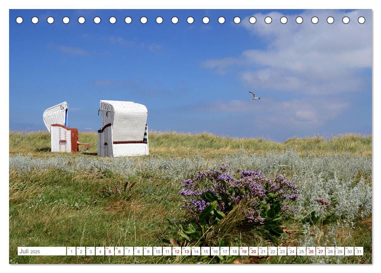 Bild: 9783435255801 | Sommertage auf Hallig Hooge (Tischkalender 2025 DIN A5 quer),...