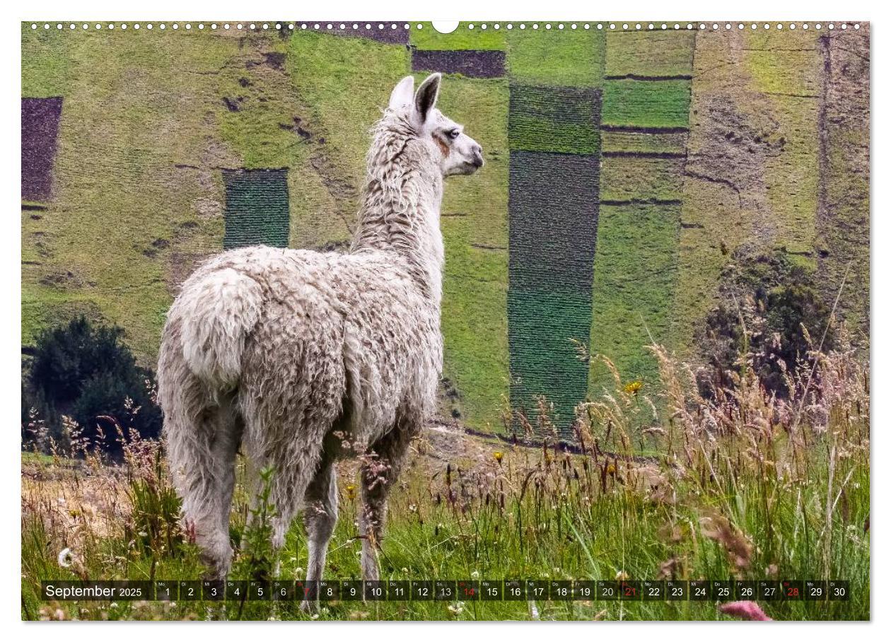 Bild: 9783435636303 | Ecuador 2025 Zwischen Hochland und Küste (Wandkalender 2025 DIN A2...