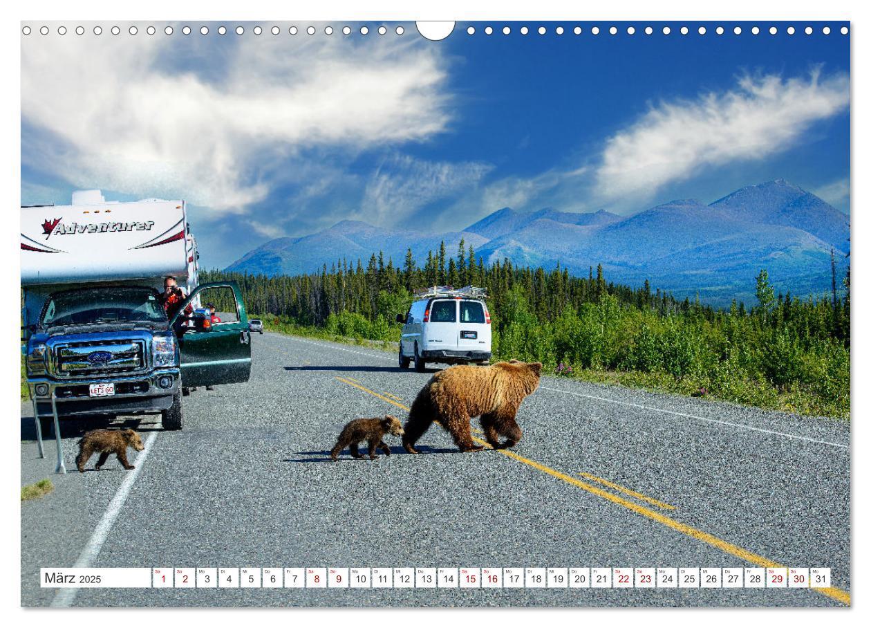 Bild: 9783383886898 | KANADA - Die Bären der Rocky Mountains (Wandkalender 2025 DIN A3...