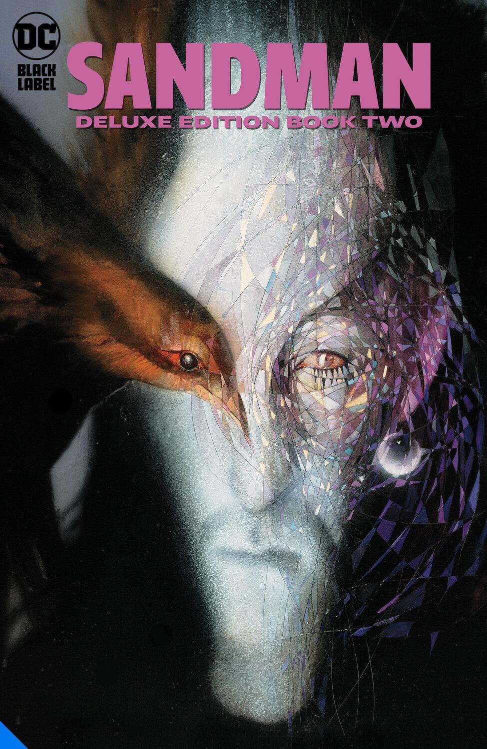 Cover: 9781779508119 | The Sandman: The Deluxe Edition Book Two | Neil Gaiman | Buch | 2021