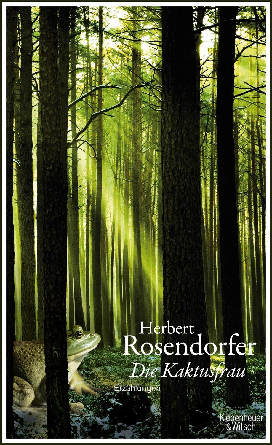Cover: 9783462044737 | Die Kaktusfrau | Erzählungen | Herbert Rosendorfer | Buch | Deutsch
