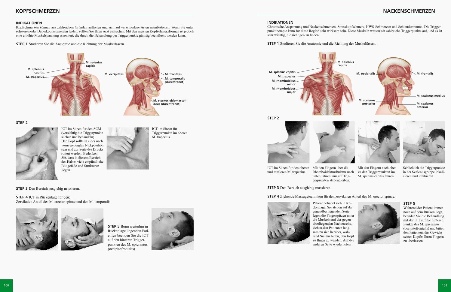 Bild: 9783767911055 | Referenzbuch Triggerpunkt Behandlung | Simeon Niel-Asher | Taschenbuch