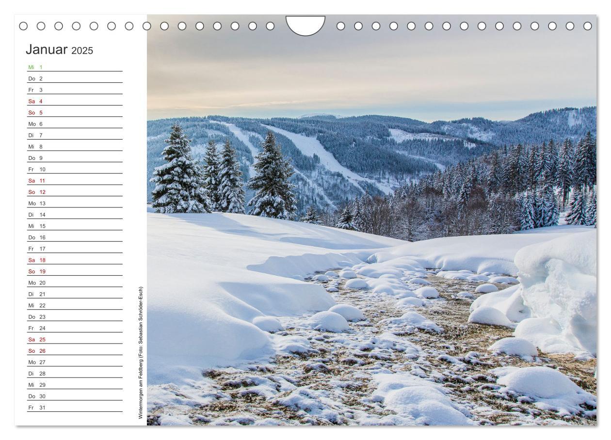 Bild: 9783383932762 | Naturvielfalt Wiesental (Wandkalender 2025 DIN A4 quer), CALVENDO...