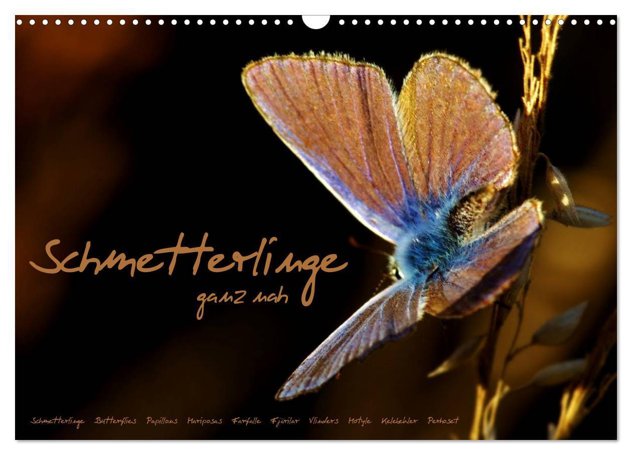 Cover: 9783383471711 | Schmetterlinge ganz nah (Wandkalender 2024 DIN A3 quer), CALVENDO...