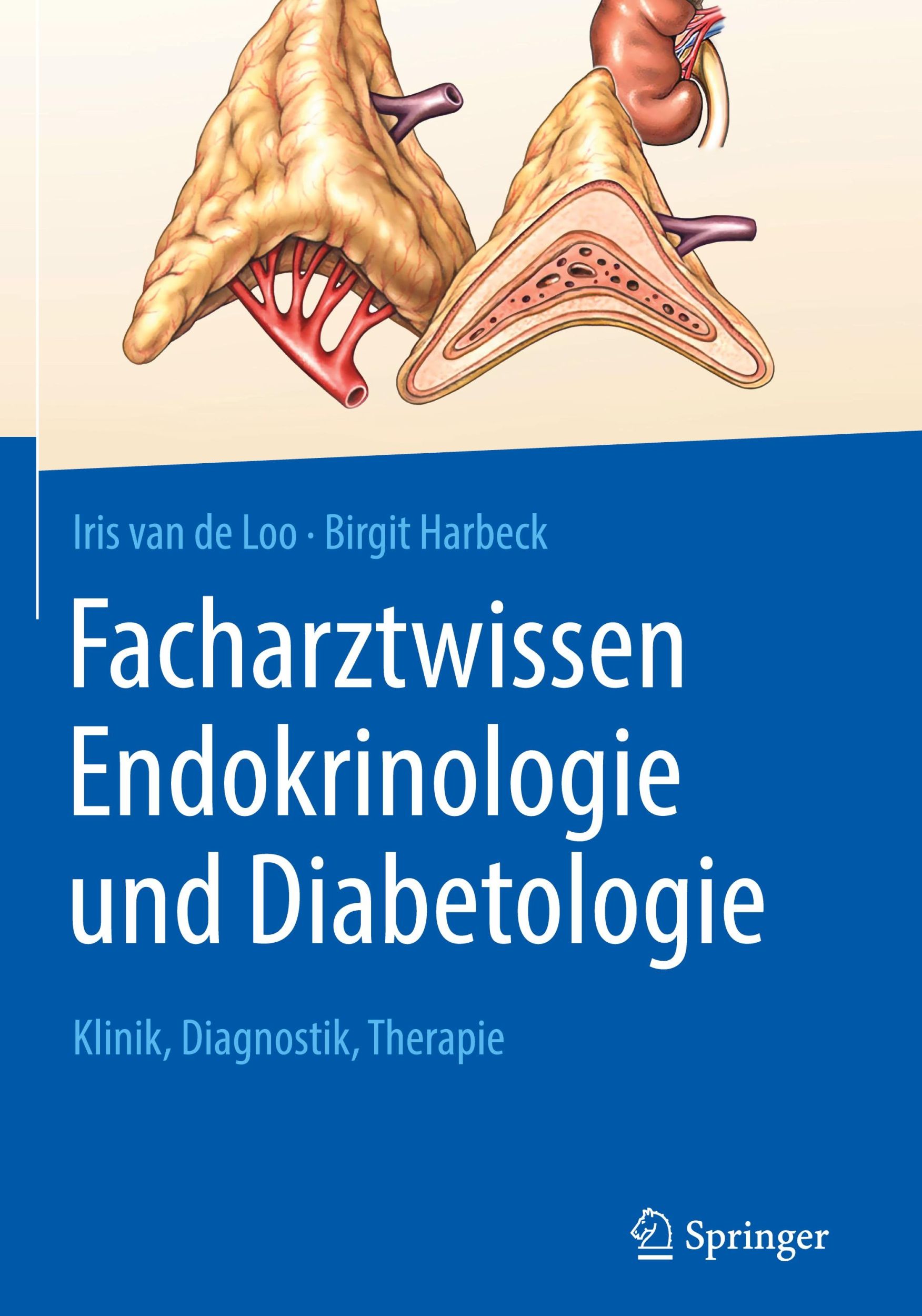 Cover: 9783662588963 | Facharztwissen Endokrinologie und Diabetologie | Harbeck (u. a.)