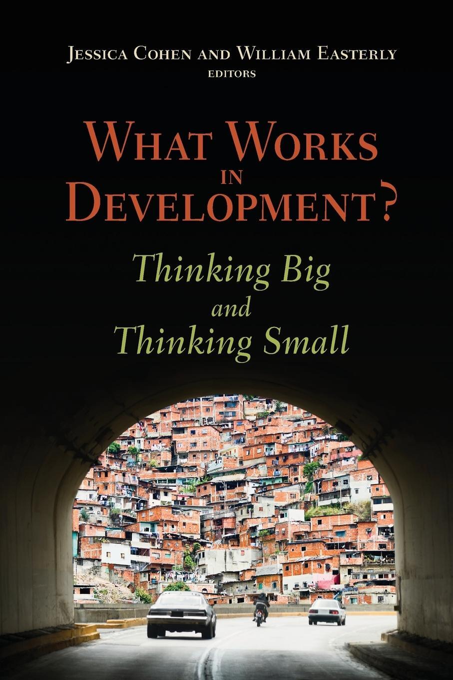 Cover: 9780815702825 | What Works in Development? | Thinking Big and Thinking Small | Buch