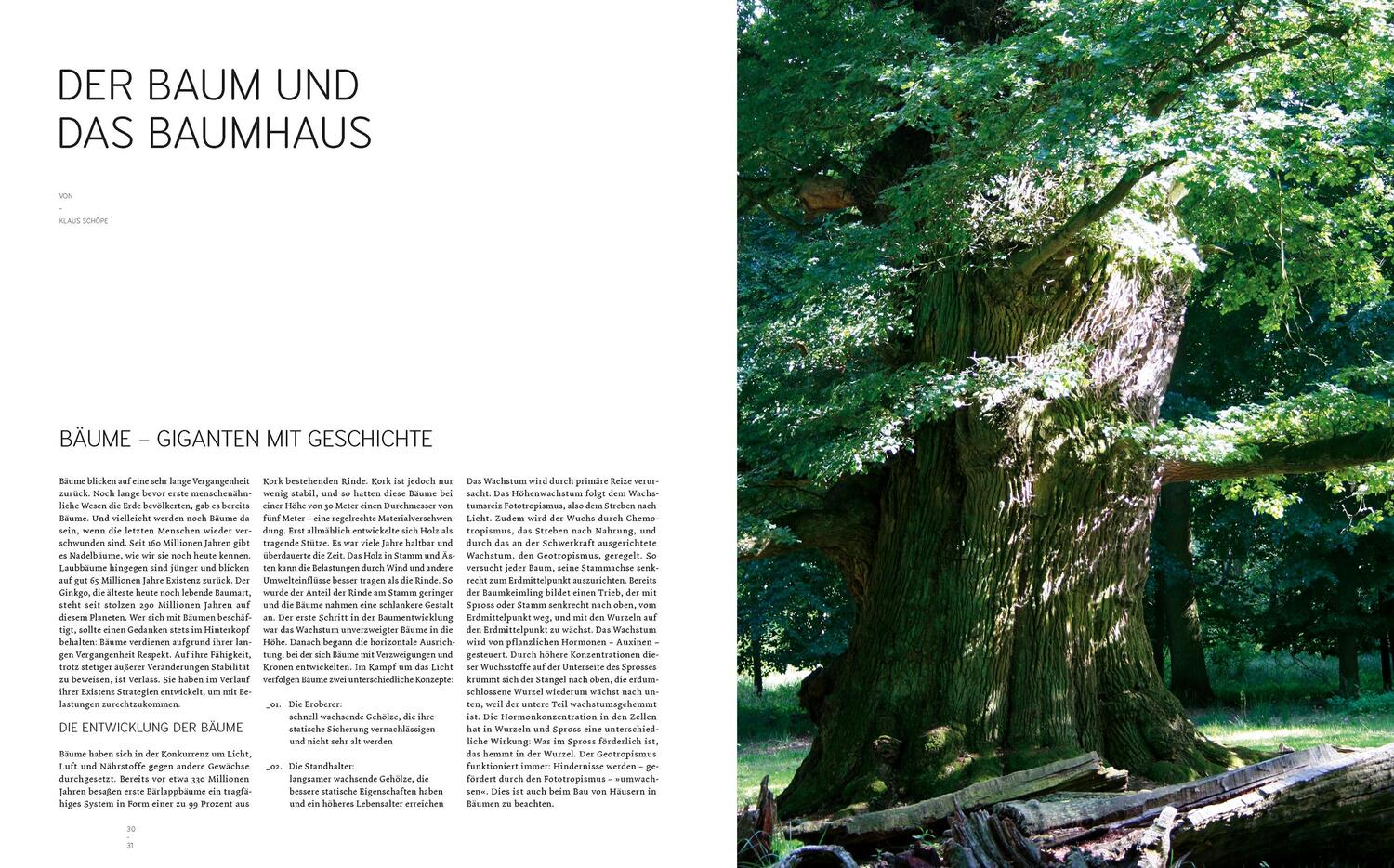 Bild: 9783869221892 | Baumhäuser | Neue Architektur in den Bäumen | Andreas Wenning | Buch