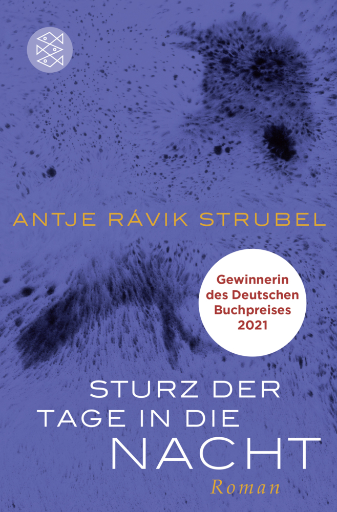 Cover: 9783596193080 | Sturz der Tage in die Nacht | Roman | Antje Rávik Strubel | Buch
