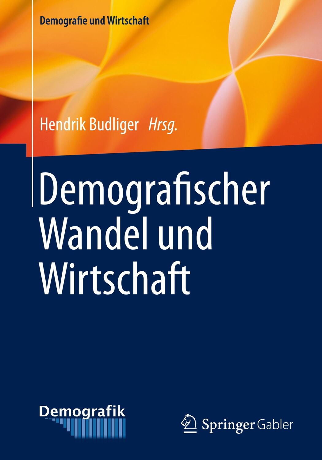 Cover: 9783658315207 | Demografischer Wandel und Wirtschaft | Hendrik Budliger | Taschenbuch