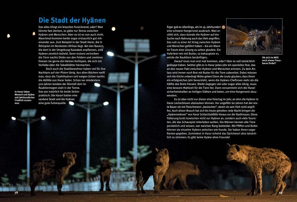 Bild: 9783866595163 | Entdecke die Hyänen | Kerstin Viering (u. a.) | Buch | 64 S. | Deutsch