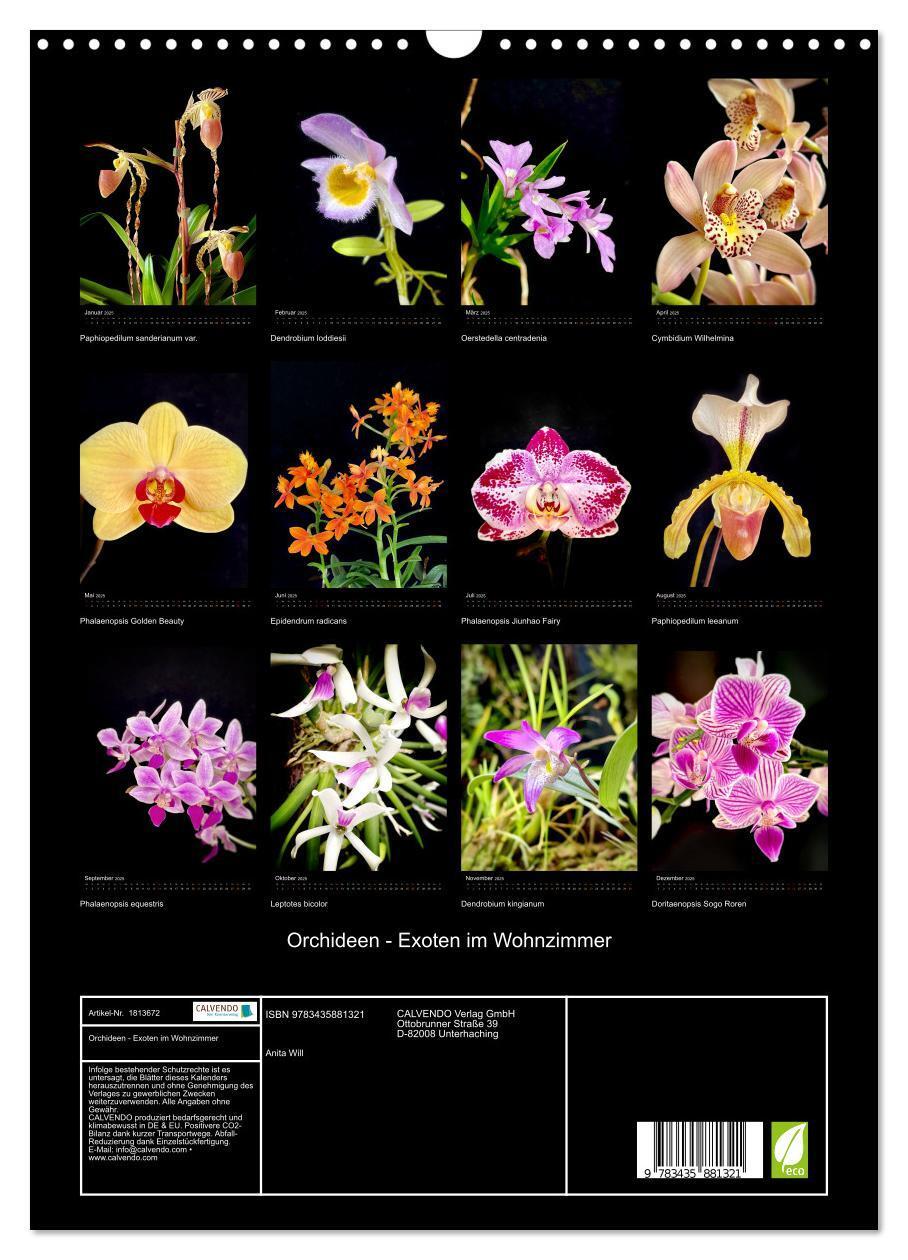 Bild: 9783435881321 | Orchideen - Exoten im Wohnzimmer (Wandkalender 2025 DIN A3 hoch),...