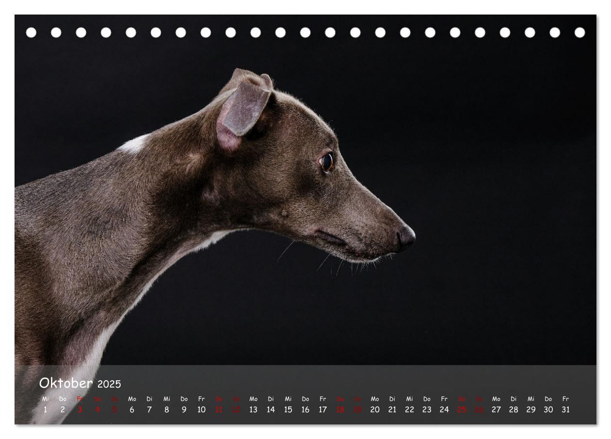 Bild: 9783383890536 | Whippets - Seelenhunde fürs Leben (Tischkalender 2025 DIN A5 quer),...