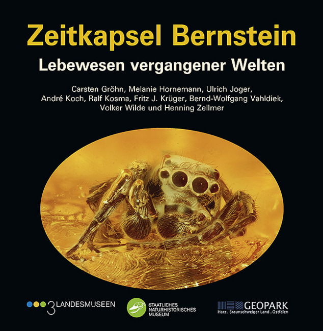 Cover: 9783899371987 | Zeitkapsel Bernstein | Lebewesen vergangener Welten | Gröhn (u. a.)