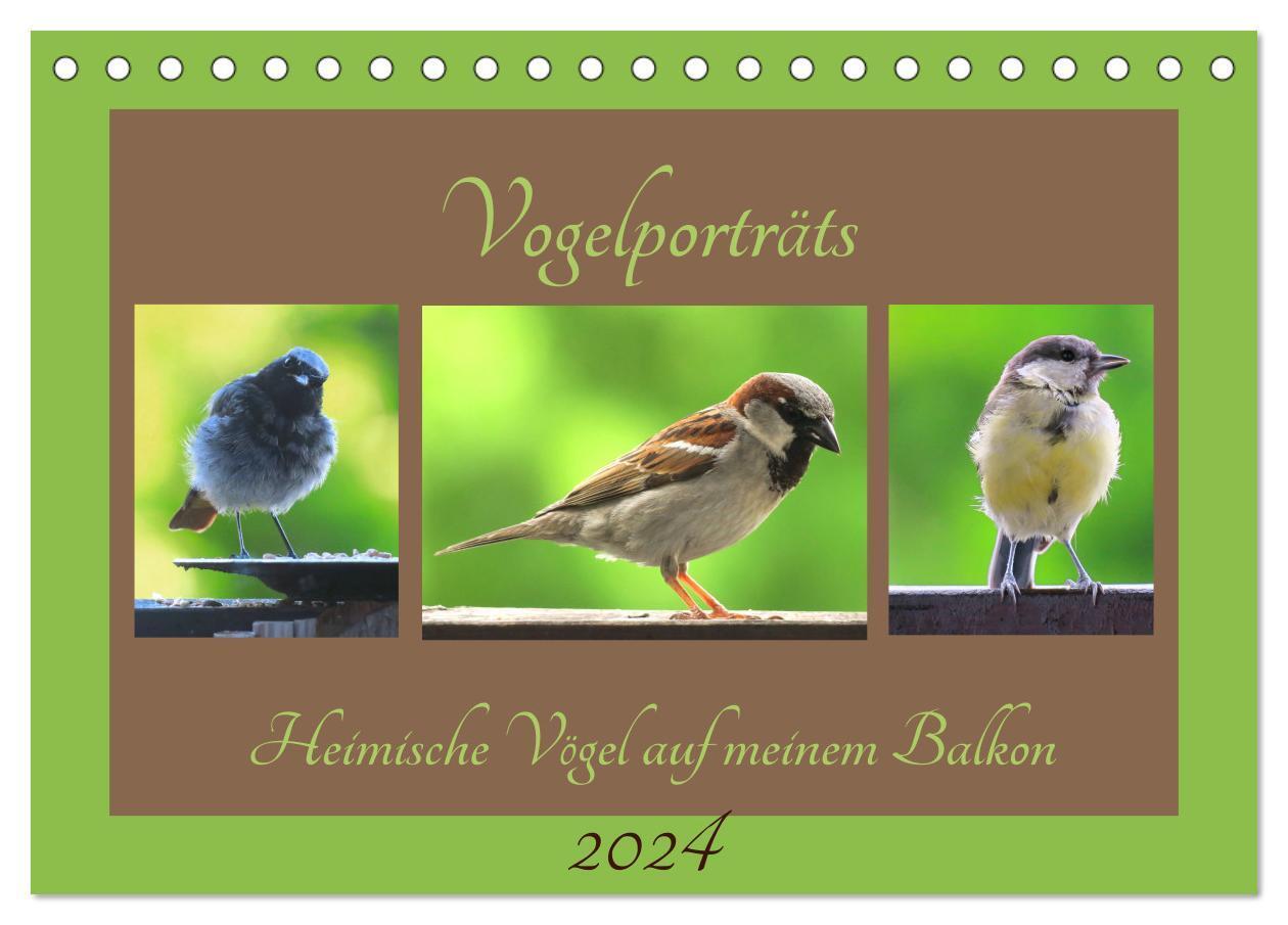 Cover: 9783675867482 | Vogelporträts - Heimische Vögel auf meinem Balkon (Tischkalender...