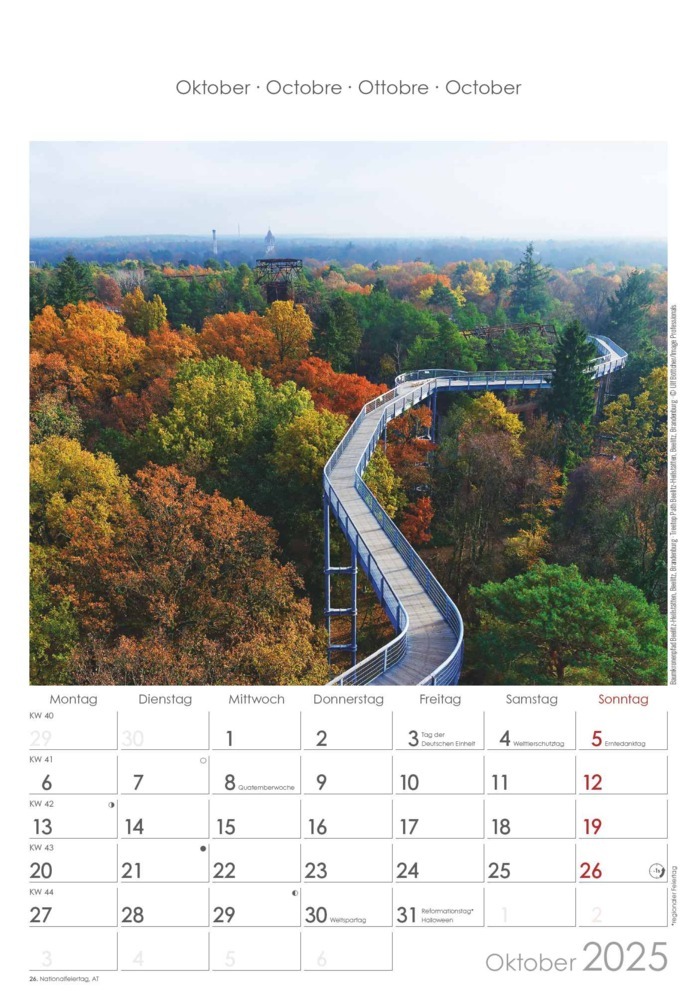 Bild: 4251732341176 | Alpha Edition - Berlin &amp; Brandenburg 2025 Bildkalender, 23,7x34cm,...